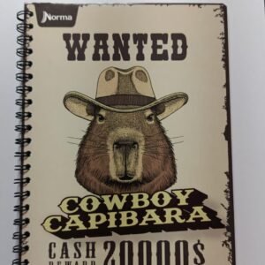 CUADERNO NORMA - 100 HOJAS