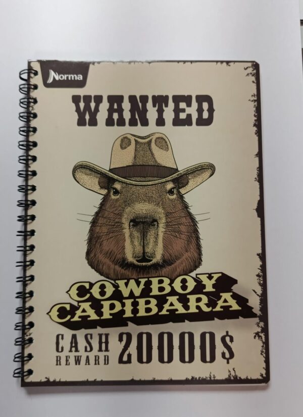 CUADERNO NORMA - 100 HOJAS