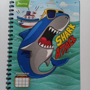 CUADERNO NORMA PARVULARIO - ESPIRAL