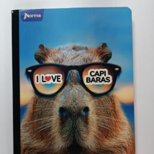 CUADERNO NORMA COSIDO - 100 HOJAS
