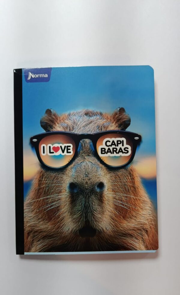 CUADERNO NORMA COSIDO - 100 HOJAS